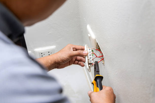 Best Electric Panel Repair  in Seminole Manor, FL